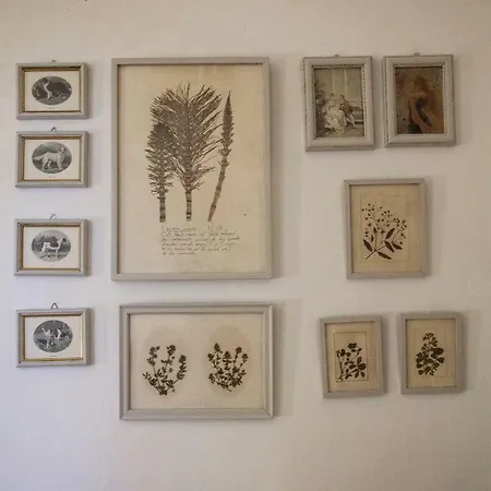 Casale Rappini Borgo Hermada